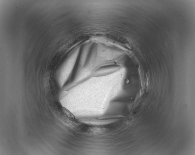 X0000077980221200611171737