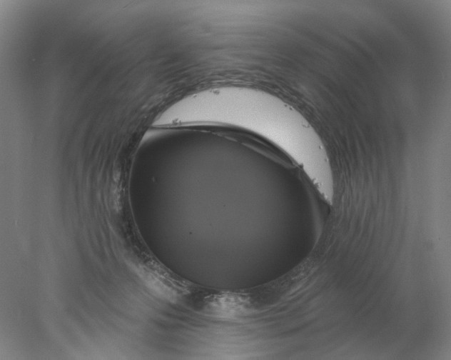 X0000077980223200611171737