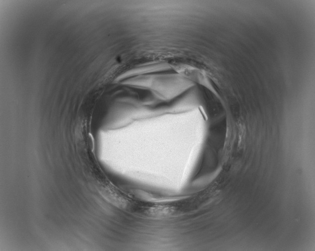 X0000077980225200611171737