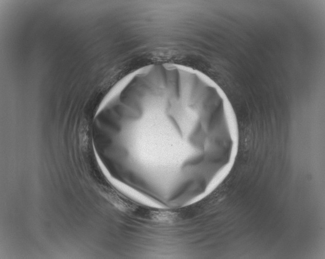 X0000077980226200611171737