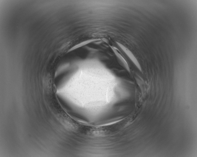 X0000077980228200611171737