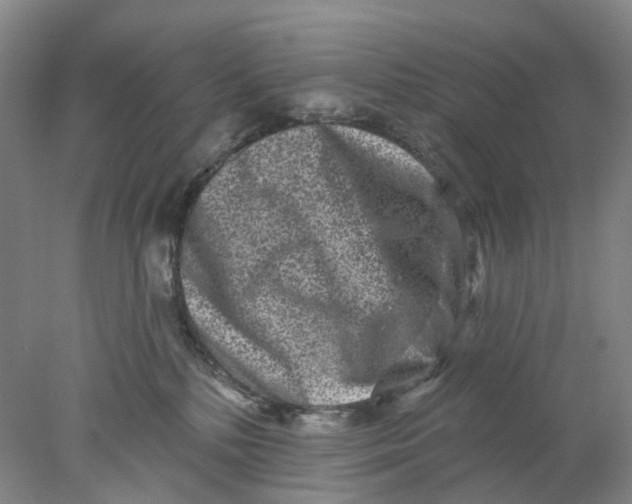 X0000077980232200611171737