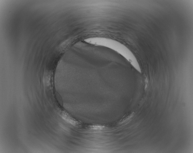 X0000077980233200611171737