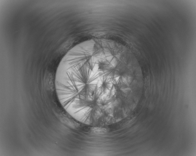 X0000077980234200611171737