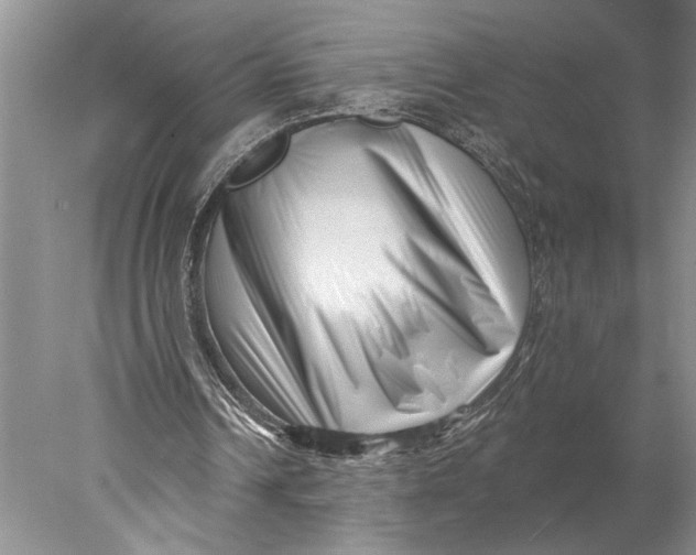 X0000077980242200611171736