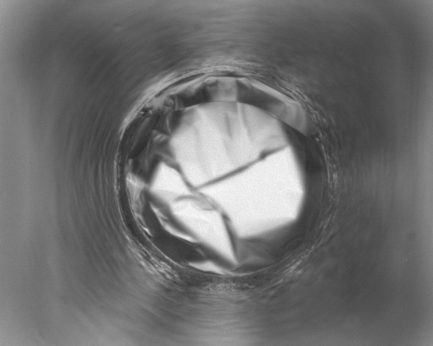 X0000077980244200611171736