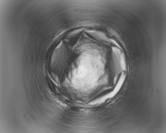 X0000077980249200611171736
