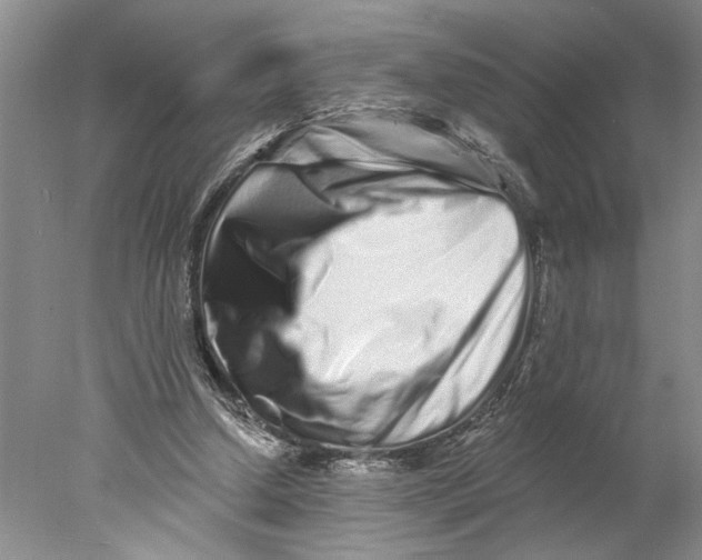 X0000077980250200611171736