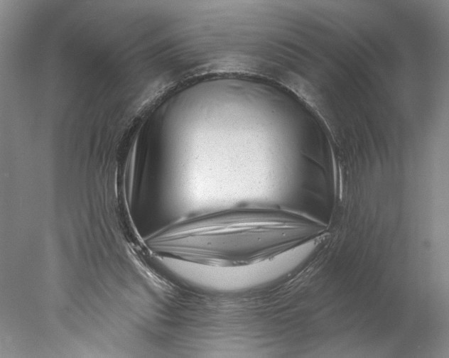 X0000077980253200611171736