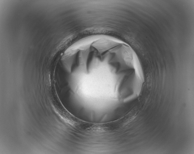 X0000077980254200611171736