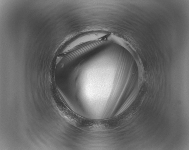 X0000077980256200611171736