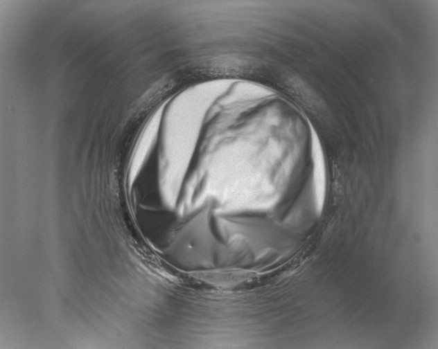 X0000077980258200611171736