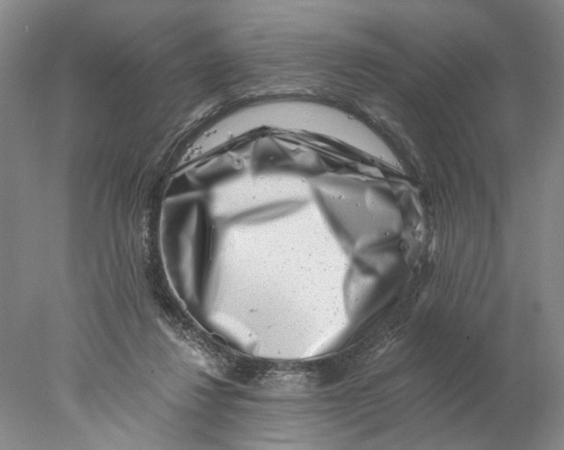 X0000077980260200611171736