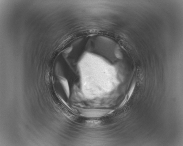 X0000077980266200611171736