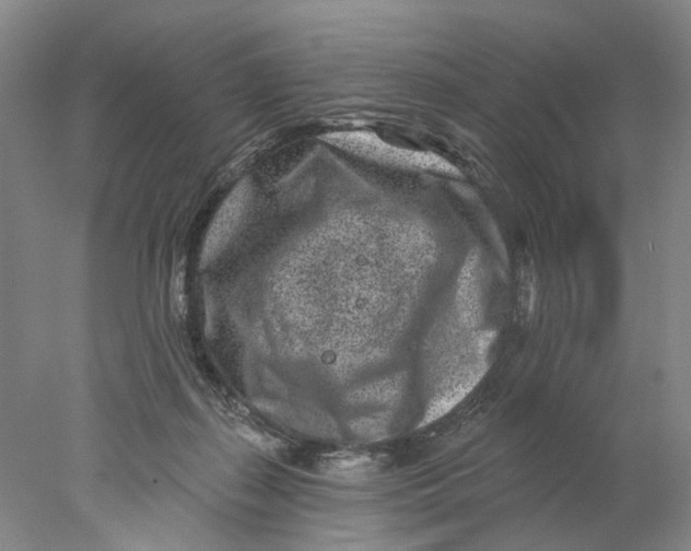 X0000077980267200611171736