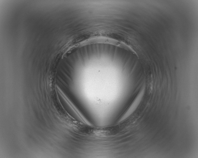 X0000077980268200611171736
