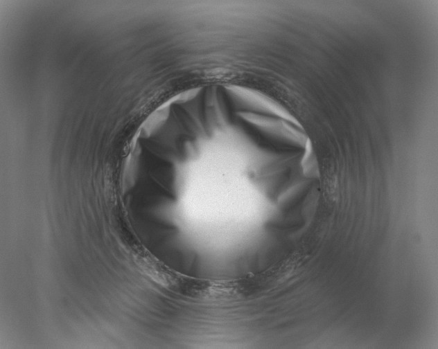 X0000077980270200611171736