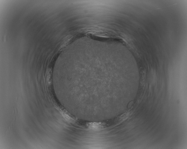 X0000077980273200611171736