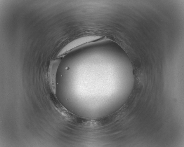 X0000077980276200611171736