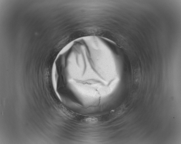 X0000077980279200611171736