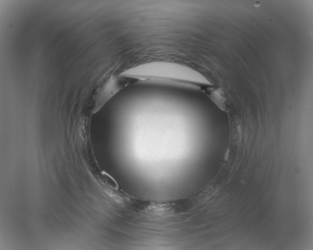 X0000077980280200611171736