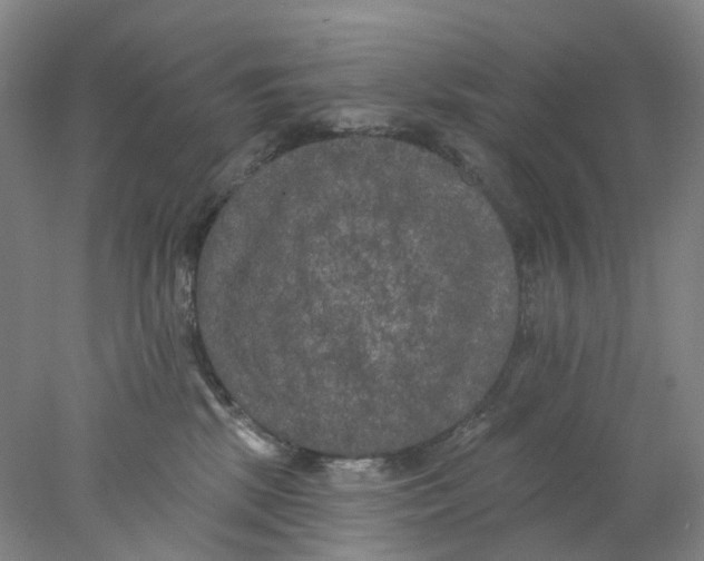 X0000077980281200611171736
