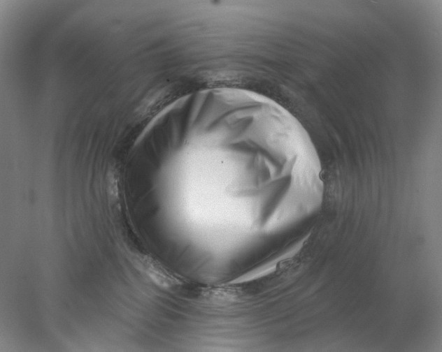 X0000077980282200611171736