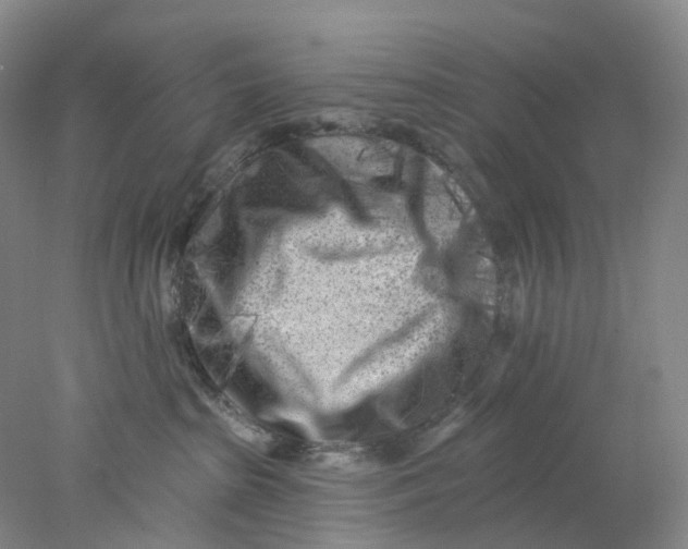 X0000077980285200611171736