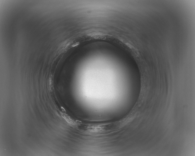 X0000077980288200611171737