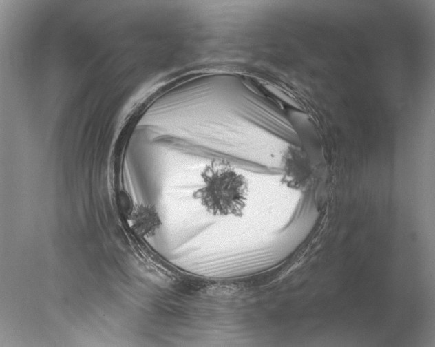 X0000077980294200611171736