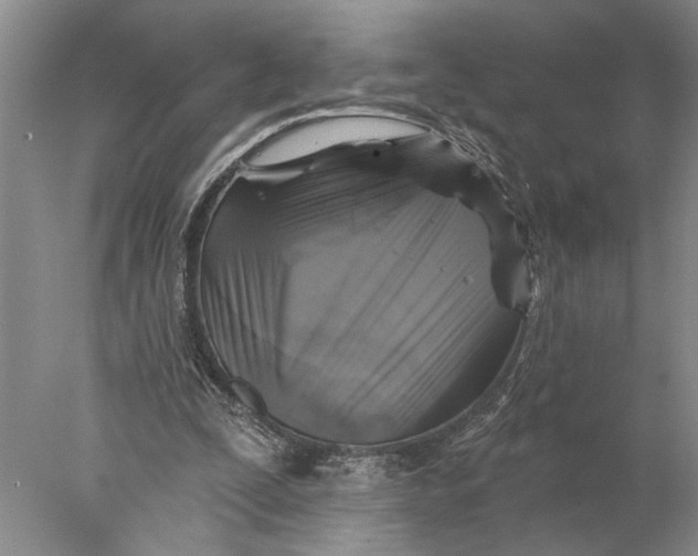 X0000077980295200611171736
