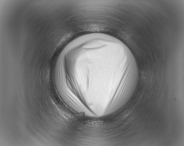 X0000077980304200611171735