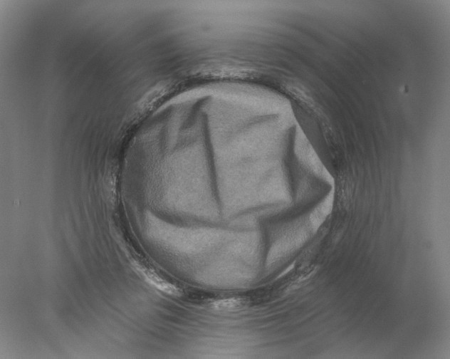 X0000077980309200611171735