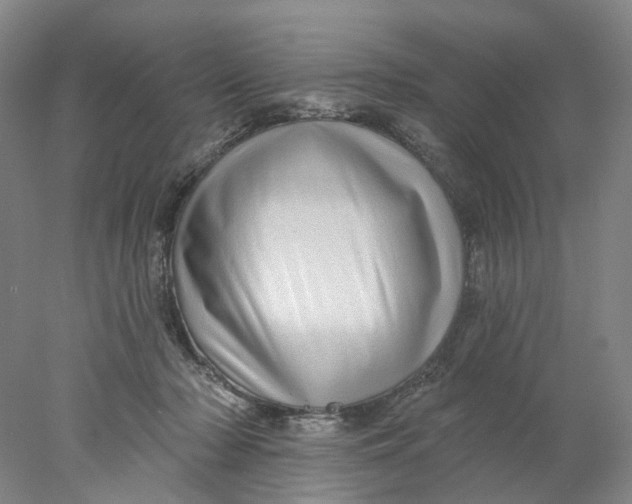 X0000077980318200611171735
