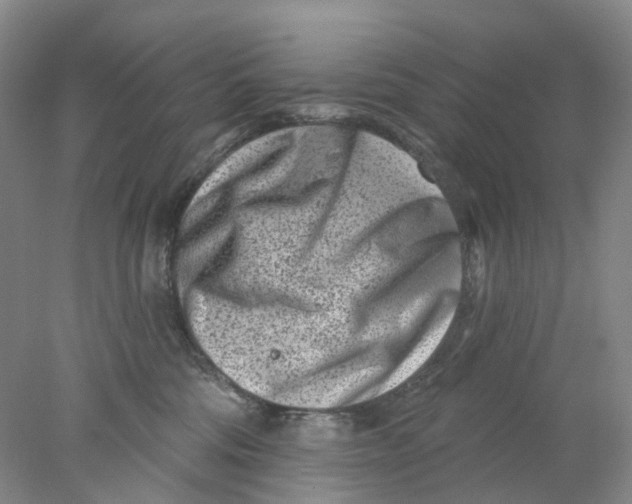 X0000077980330200611171735