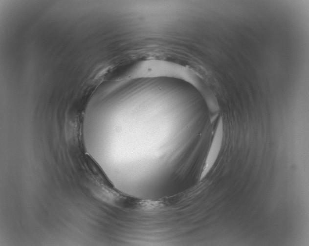 X0000077980333200611171735