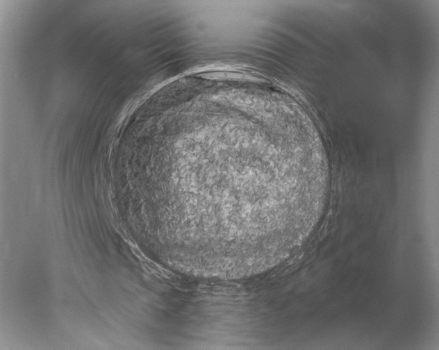 X0000077980337200611171734