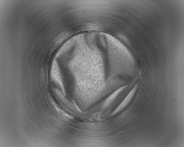 X0000077980349200611171734