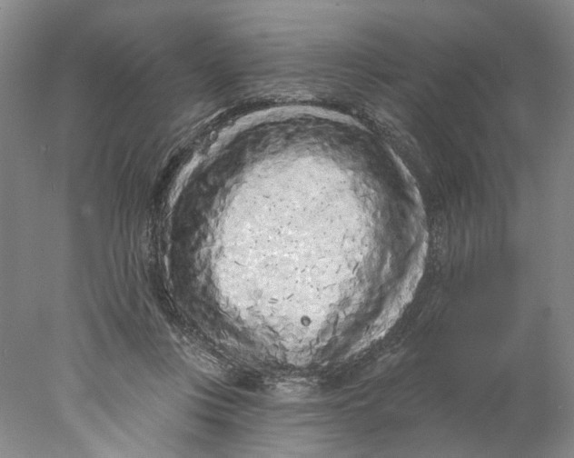 X0000077980359200611171735