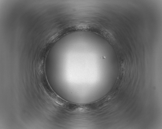 X0000077980364200611171735