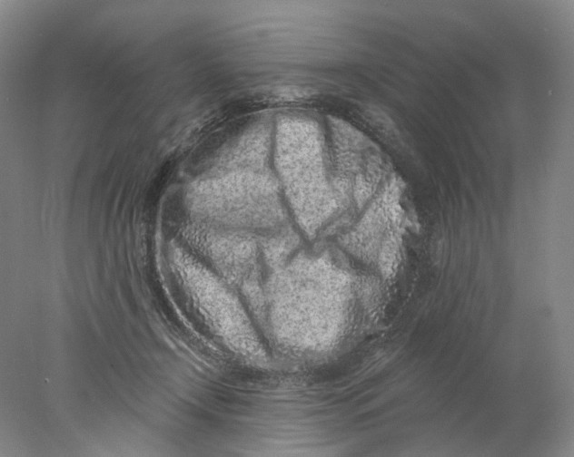 X0000077980366200611171735