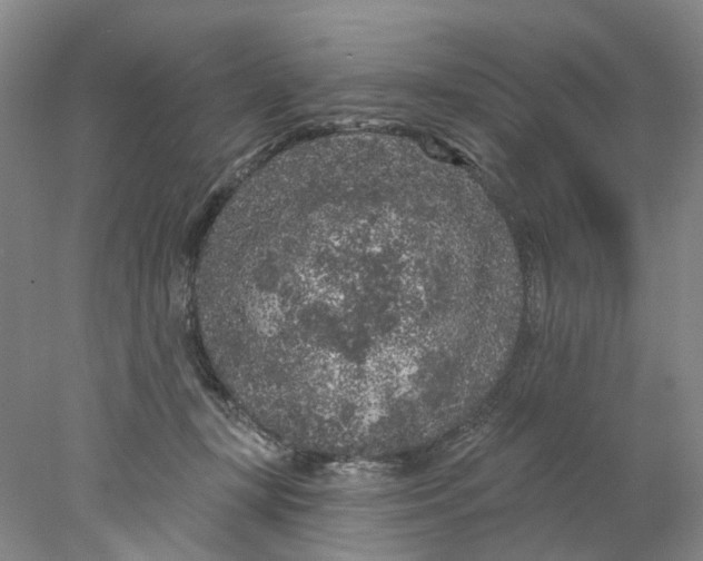 X0000077980367200611171735