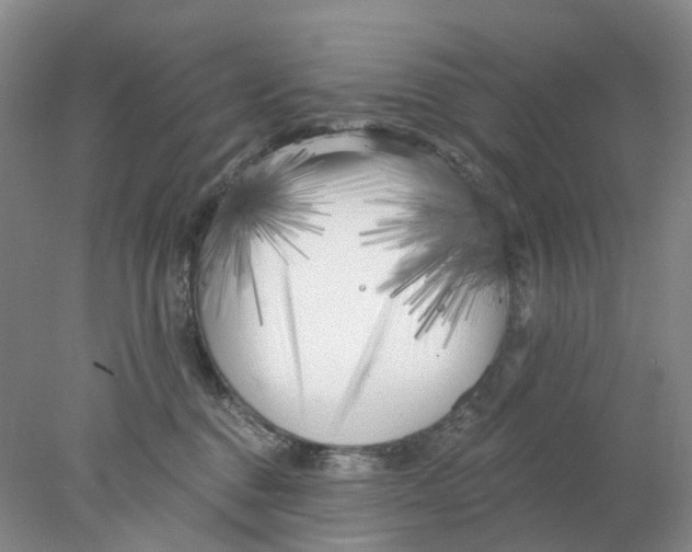 X0000077980376200611171735