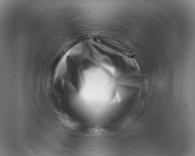 X0000077980379200611171735