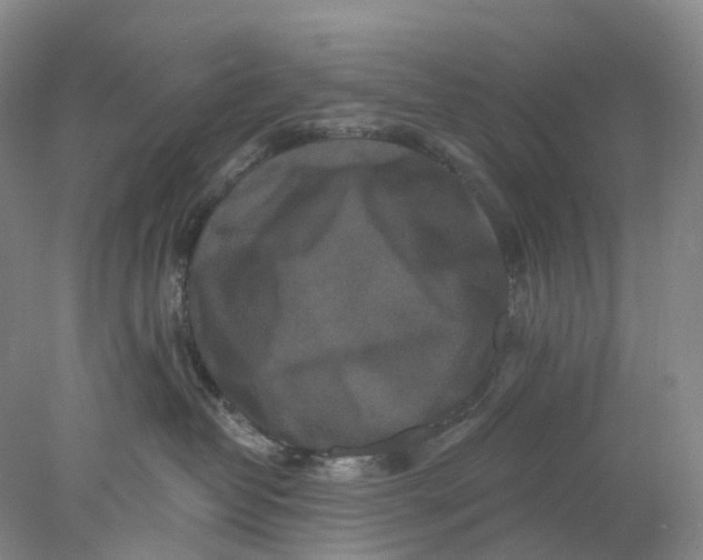 X0000077980382200611171735