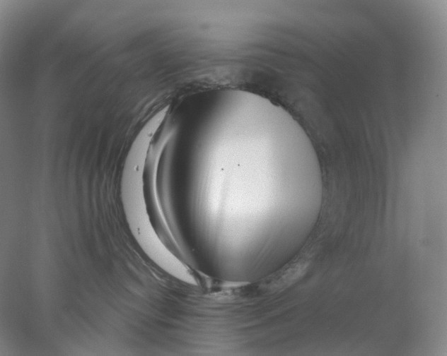 X0000077980384200611171735