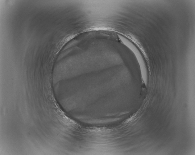 X0000077980385200611171734