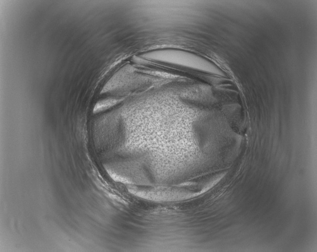 X0000077980386200611171734