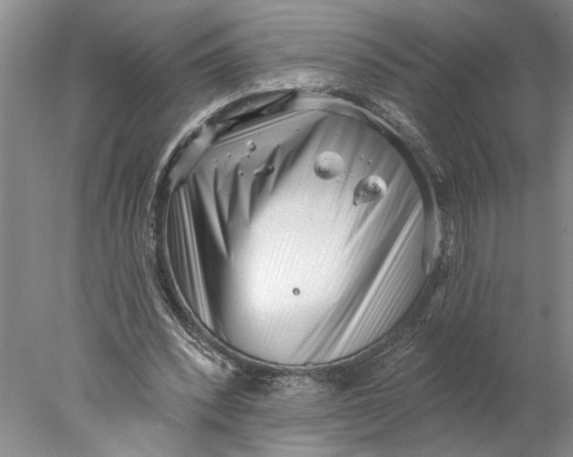 X0000077980392200611171734