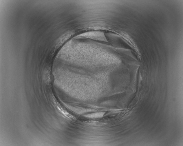 X0000077980393200611171734